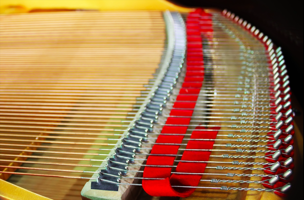 piano tuner in my area piano tuner in my area
